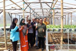 Poktan di Sukabumi ubah lahan kosong jadi lahan pertanian hidroponik