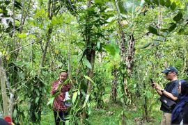 BRIN dorong peneliti global lakukan riset kesehatan tanah