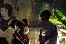 PDTS KBS resmi membuka wahana "Surabaya Night Zoo"