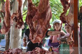 Pemkab pastikan stok hewan kurban di Abdya cukup untuk Idul Adha