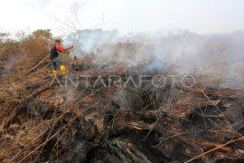 Pemotongan saluran drainase dinilai lebih praktis tangani karhutla di Nagan Raya, begini penjelasan pakar