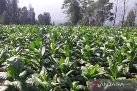 DPRD  Temanggung apresiasi petani  kawal regulasi menyangkut tembakau