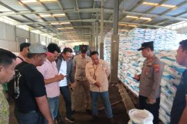 Dispertangan Situbondo uji laboratorium pupuk NPK diduga palsu