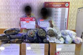 Polresta tangkap dua pengirim 24,6 kg ganja jaringan Aceh-Jakarta