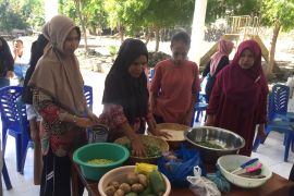 Program Dashat disebut berikan manfaat bagi balita