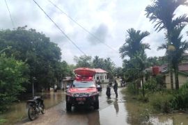 BNPB laporkan 164 jiwa terdampak banjir di Kuansing