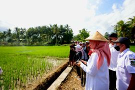 Pemkab Banyuwangi perkenalkan "smart farming" tingkatkan produktivitas