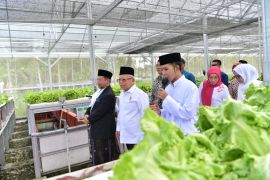 Wapres apresiasi upaya kemandirian pesantren lewat tanaman hidroponik