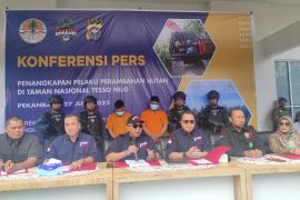 KLHK tangkap dua perambah Taman Nasional Tesso Nilo