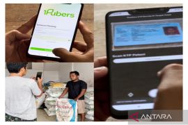 Petani Kalsel cukup tunjukkan KTP tebus pupuk bersubsidi