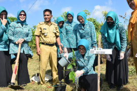 Tim Penggerak PKK Kota Pontianak tanam 1.300 pohon
