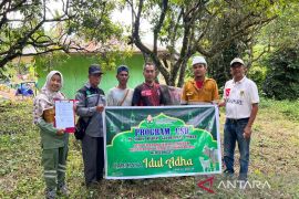 Sambut Idul Adha, SMGP salurkan bantuan enam ekor hewan kurban