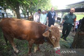 18 hewan kurban dari Hero Grup disalurkan untuk warga Tangerang