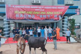 PT GNI berkurban di 12 Desa Lingkar Industri