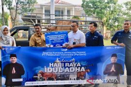 Pelindo Tanjung Pandan salurkan hewan kurban Idul Adha 1444 Hijriah