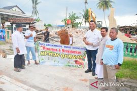 KEK Tanjung Kelayang salurkan sapi kurban Idul Adha 1444 Hijriah