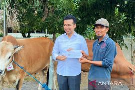 Sapi peternak Kangean laku 206 ekor, salah satunya dibeli Wagub Jatim