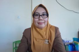 Kasus  DBD di Ternate meningkat