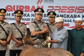 Polresta Tanjungpinang berkurban lima ekor sapi