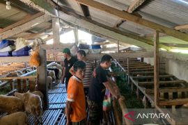 Dinas Cianjur pastikan hewan kurban dalam kondisi sehat
