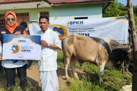 Setelah 40 tahun, Dusun Tani akhirnya dapat hewan kurban