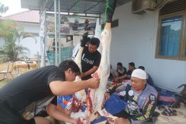 Masyarakat Toboali sekitar kantor PT Timah terima daging kurban