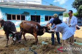 Petugas pantau masyarakat agar tak buang limbah kurban sembarangan