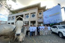 Prabowo salurkan puluhan hewan kurban di Jawa Timur