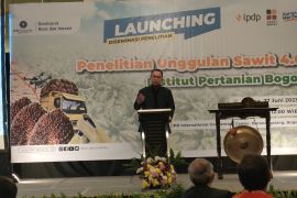 Institut Pertanian Bogor membuat mesin identifikasi kelapa sawit