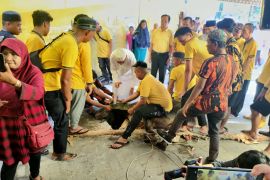Penyembelihan hewan qurban DPD Golkar Kalsel meningkat