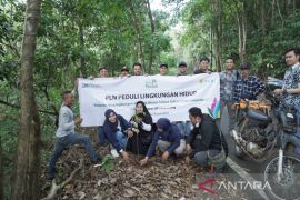 PLN tanam 217 pohon wujudkan perusahaan ramah lingkungan di Kalsel
