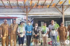 Pemkot Ambon Ajak ASN tanam cabai dan sayur wujudkan ketahanan pangan
