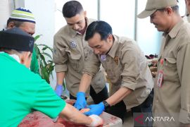 Pemkot Banjarmasin jamin kesehatan hewan kurban Idul Adha 2023