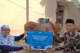 Pelindo Terminal Petikemas salurkan 180 hewan kurban