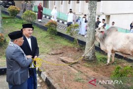 Idul Adha, Pemkab Tangerang bagikan 30 hewan kurban untuk warga