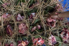 Kiat dan trik menyimpan daging kurban agar tahan lama