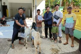 INKA Group salurkan hewan kurban untuk warga Madiun dan Banyuwangi