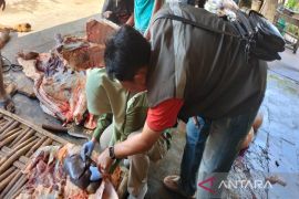Pemkab  Batang periksa hewan kurban disembelih cegah cacing hati