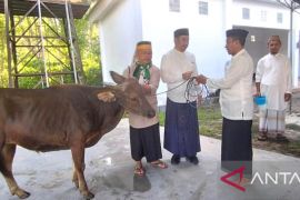 Bupati Bone Bolango: 1.245 hewan kurban disembelih pada Idul Adha
