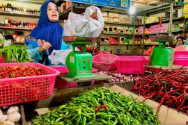 Omzet pedagang sembako di Batam naik dengan berjualan online