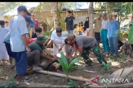 Perantauan kenang kampung leluhur melalui ibadah qurban