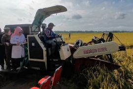 Gandeng BI Solo, Sukoharjo jadi percontohan ‘digital farming’