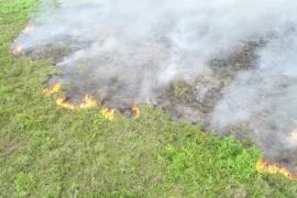 Kalteng petakan kekuatan perangkat daerah cegah karhutla 2023