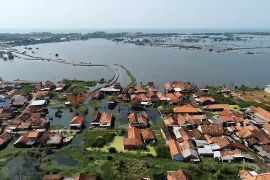 Pekalongan kembali banjir rob, Wali Kota carikan solusi darurat