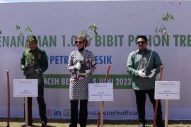 Tanam&nbsp;ratusan pohon trembesi demi gapai Emisi Nol Bersih