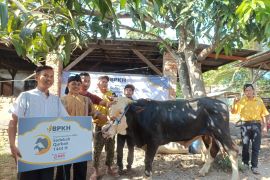 BPKH salurkan 2.000 hewan kurban ke pelosok RI, termasuk daerah 3T