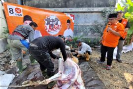 PKS Jatim bagikan 252.700 paket daging kurban