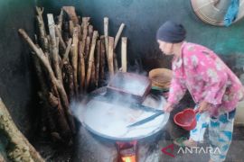 Produksi gula aren Rejang Lebong mencapai 5.443,8 ton