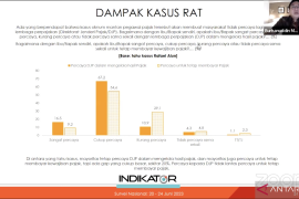 Naik, kepercayaan publik ke DJP