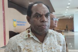 Presiden Joko Widodo dijadwalkan panen jagung di Arso perbatasan RI-PNG